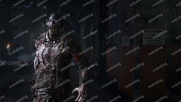 使命召唤14：二战 v1.25.2244937 官方中文 支持局域网联机插图2