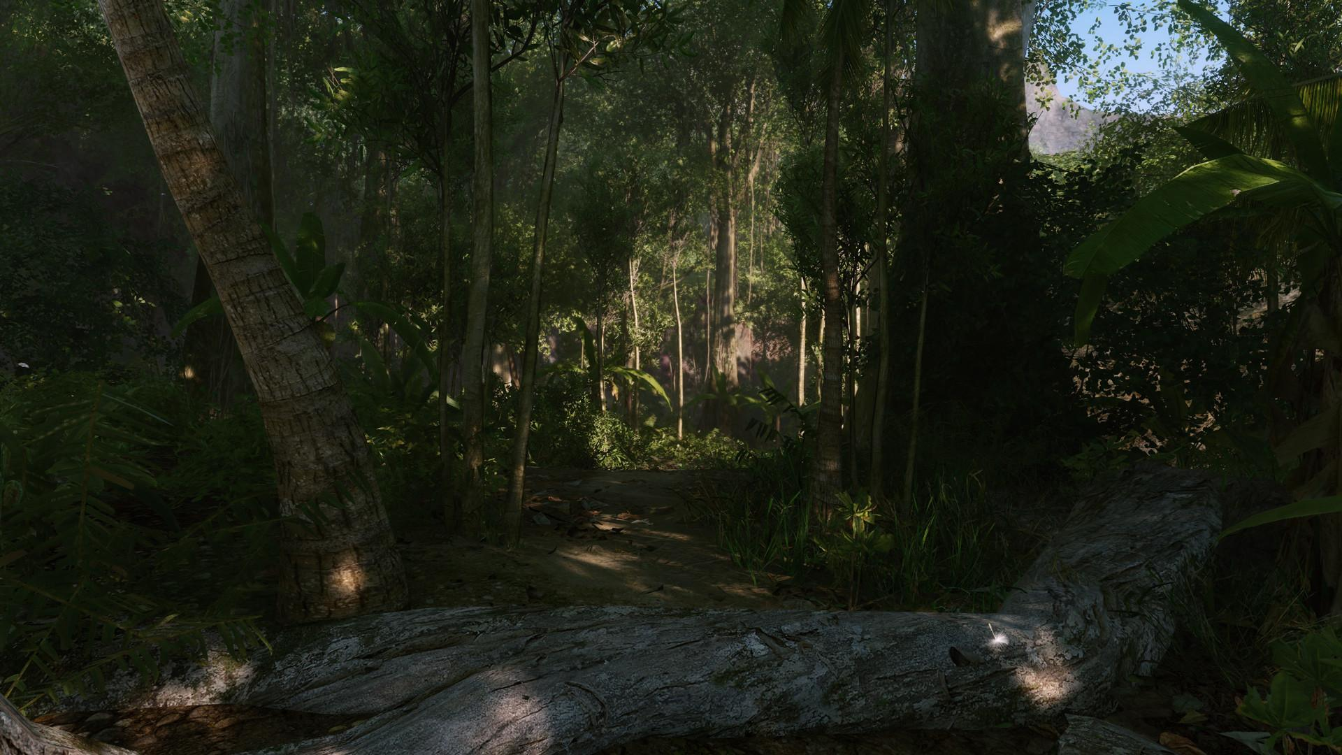 孤岛危机：重制版（Crysis Remastered）官方中文插图3